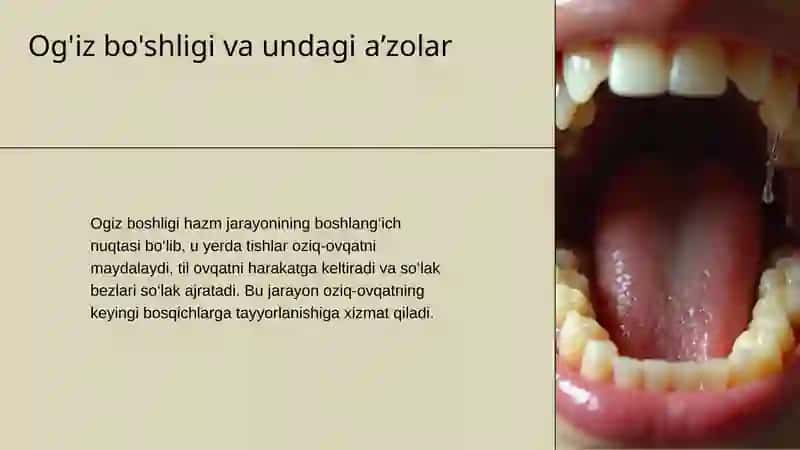 Ovqat hazm qilish tizimi 4