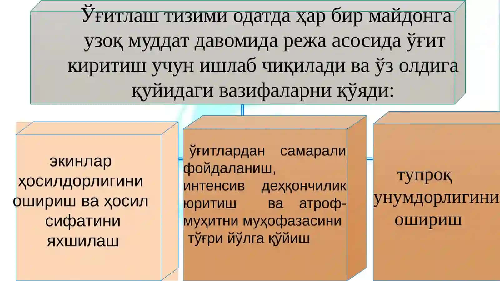 Тупроқшунослик ва ҳаёт аҳамияти 4