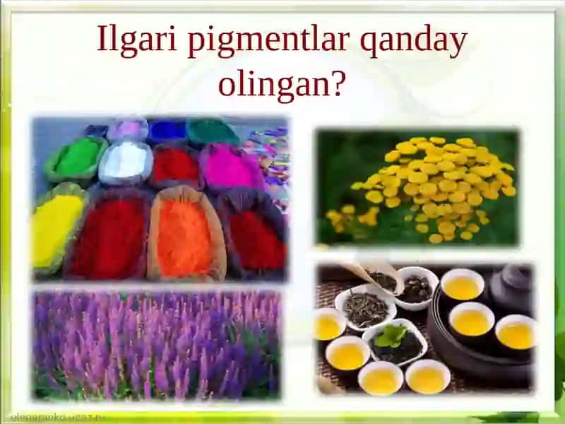 Pigmentlar va ularning xilma-xilligi 4