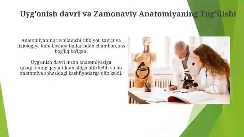 Anatomiyaning rivojlanishi 4
