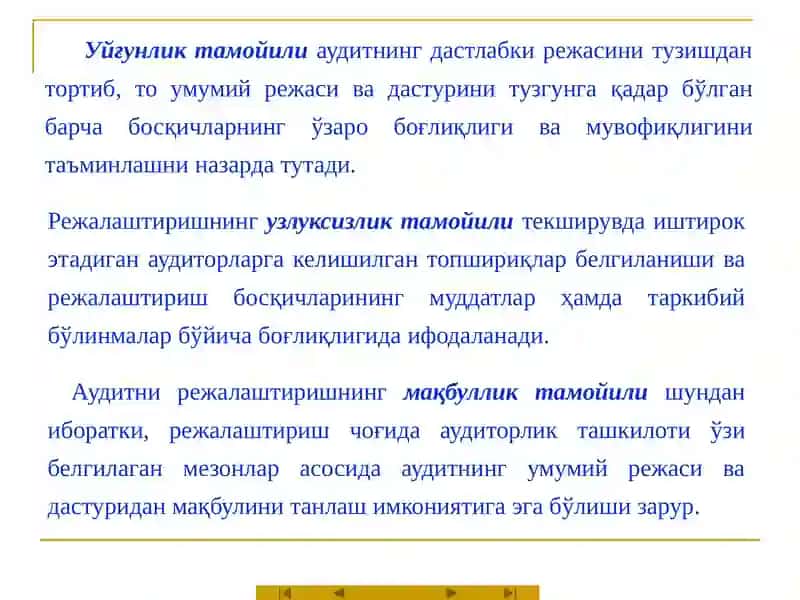 Аудитни режалаштириш ва ташкил этиш 4