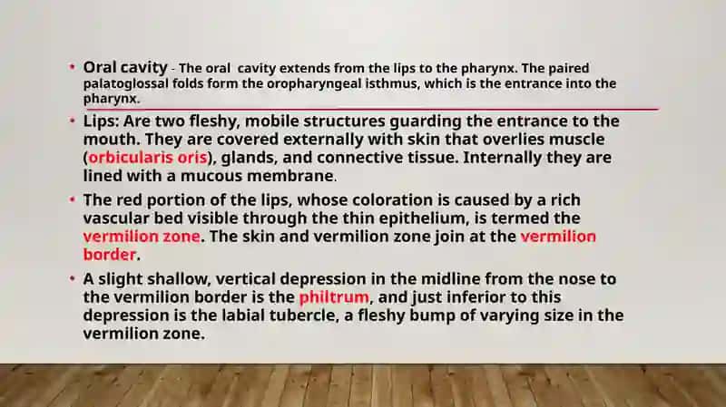 Oral cavity 4
