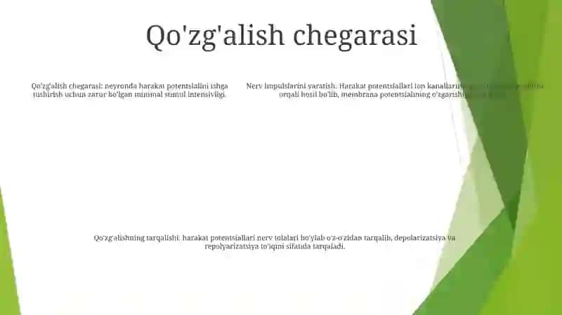 Neryonlarda Nerv Impulslarining Hosil Bo'Lishi Mexanizmlari 4