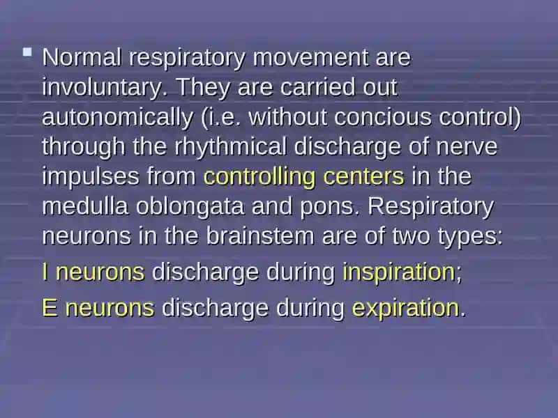 Regulation of breathing 4