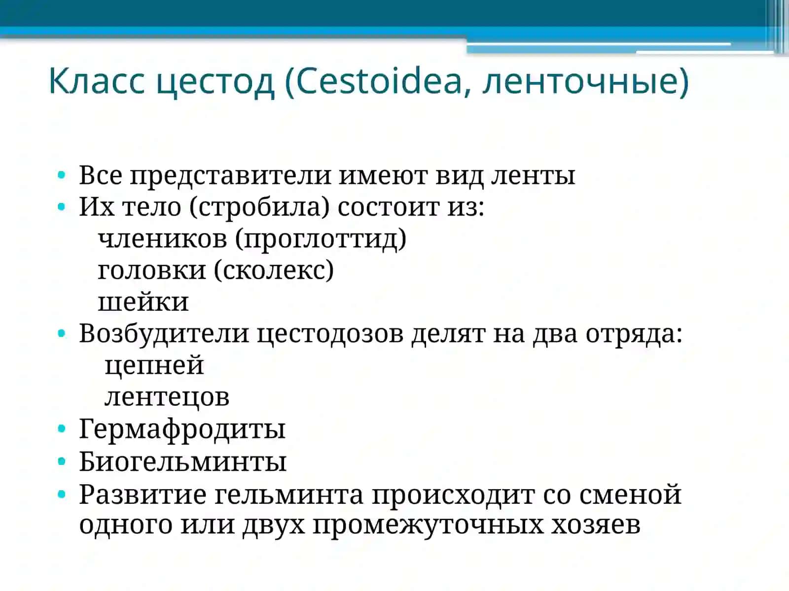 Жизненный цикл цестод 4