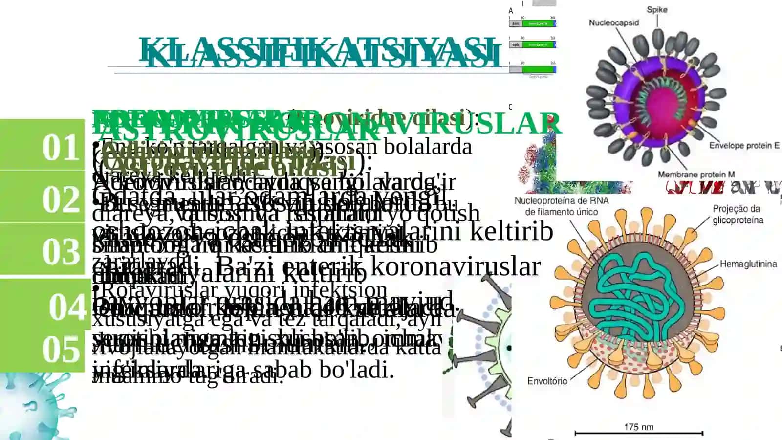 DIAREYAGEN VIRUSLAR 4