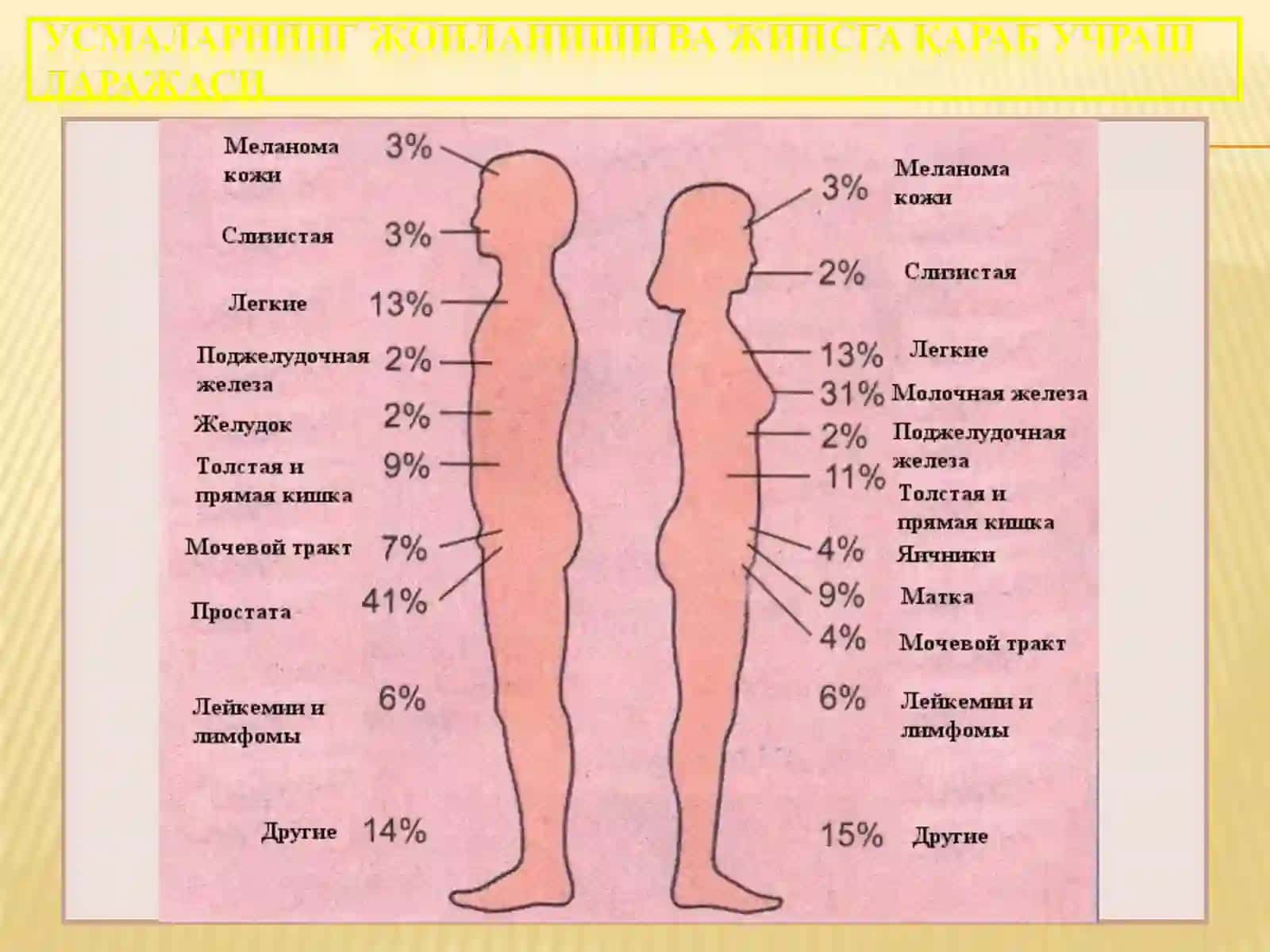 ЎСМАЛАР 4