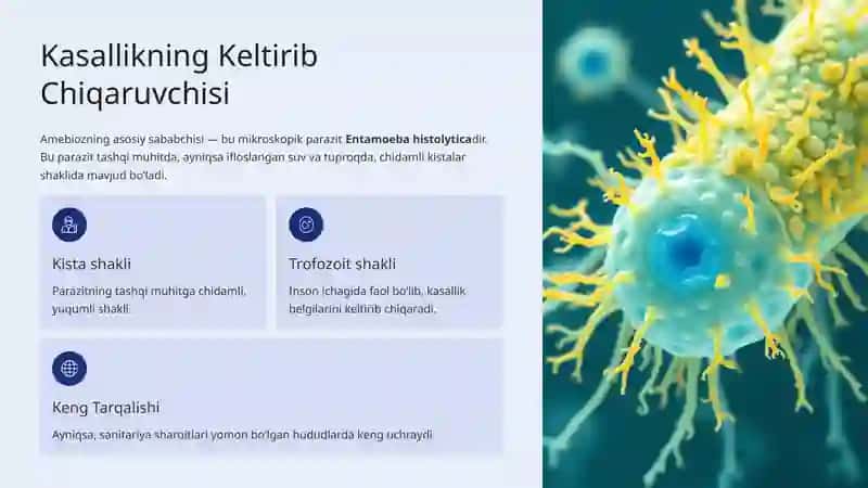 Amebioz 4