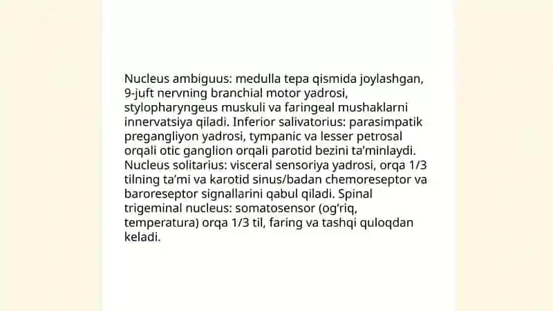 9-juft nerv anatomiyasi 4