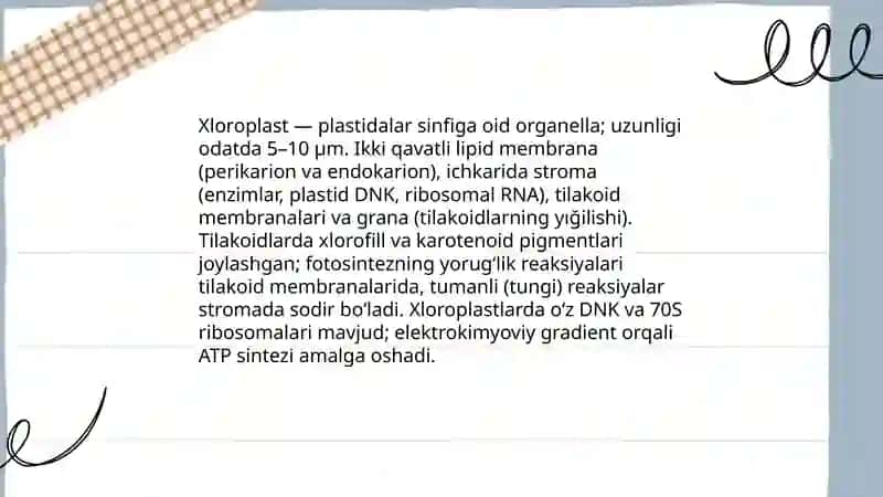 Plastidalar 4