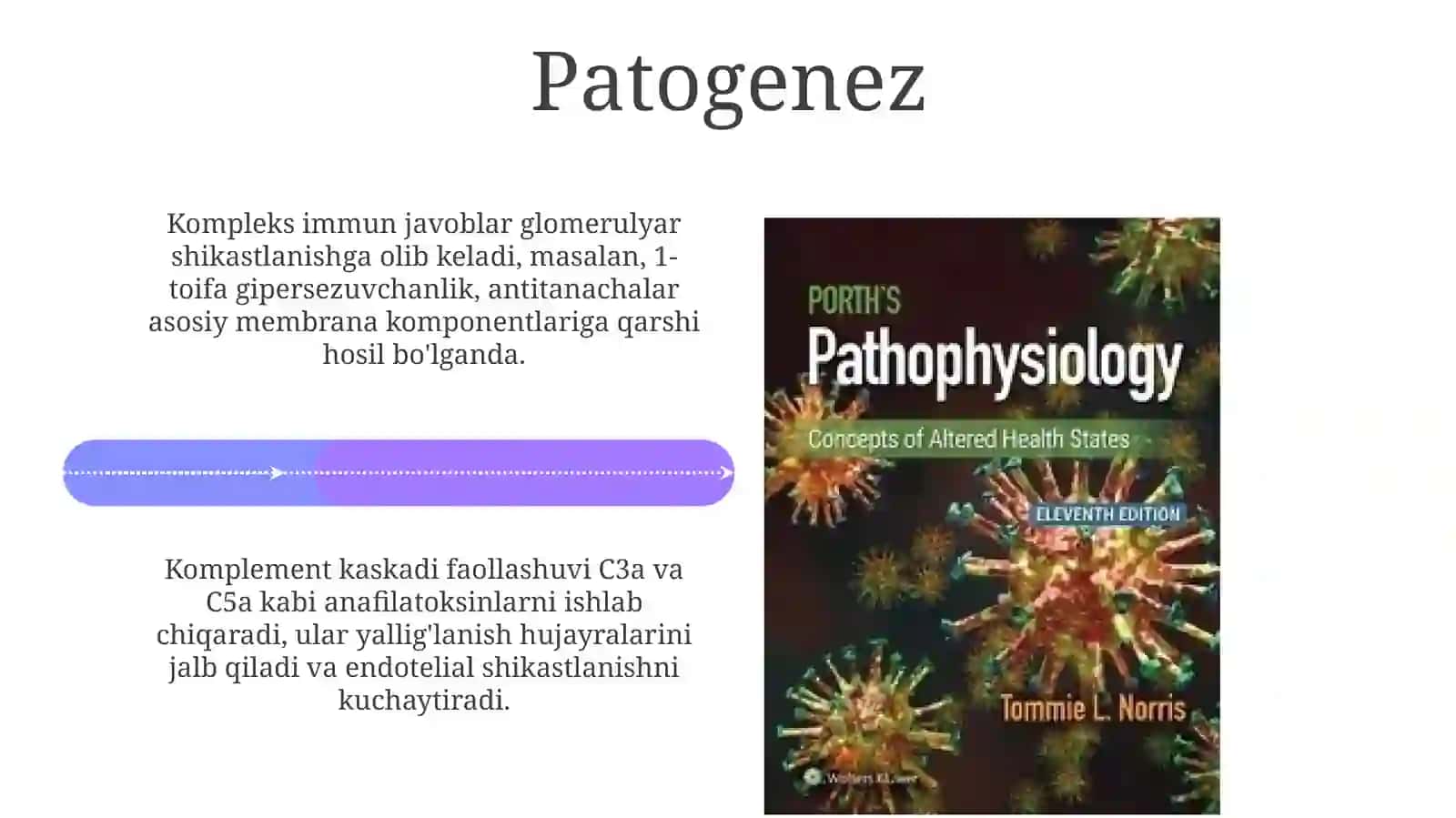 Buyrakning yallig'lanish kasalliklarining etiologiyasi, patogenezi, kasallik 4
