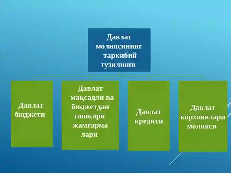 Давлат бюджетива мақсадли жамғармалари 4