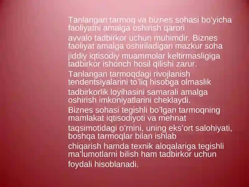 Korxona va mahsulot tavsifi 4