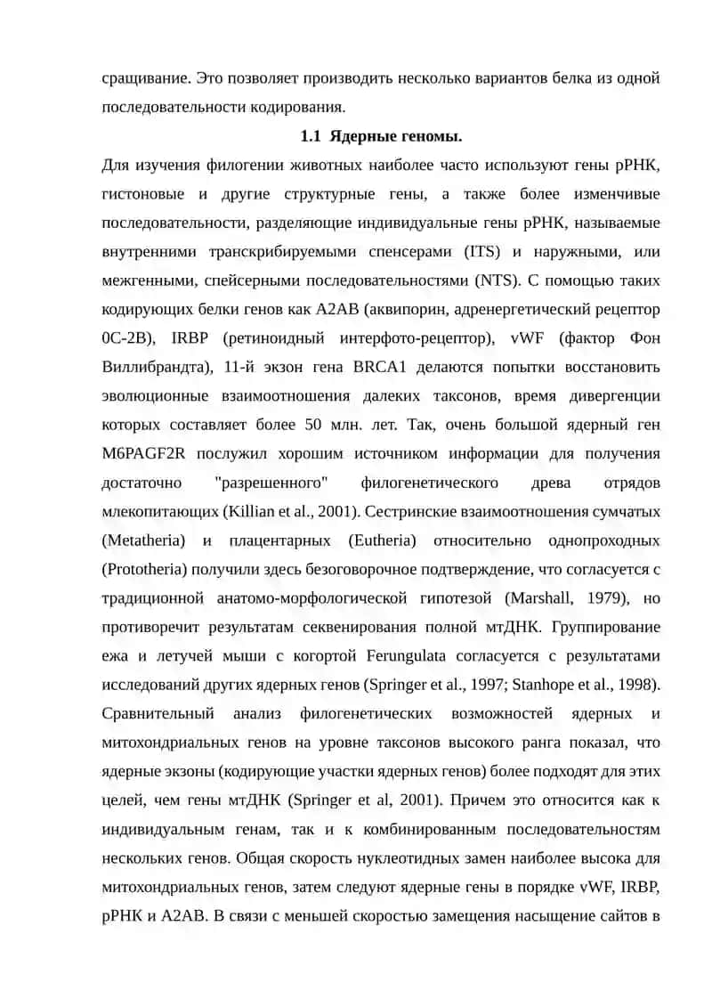 Структура генома эукариот 4