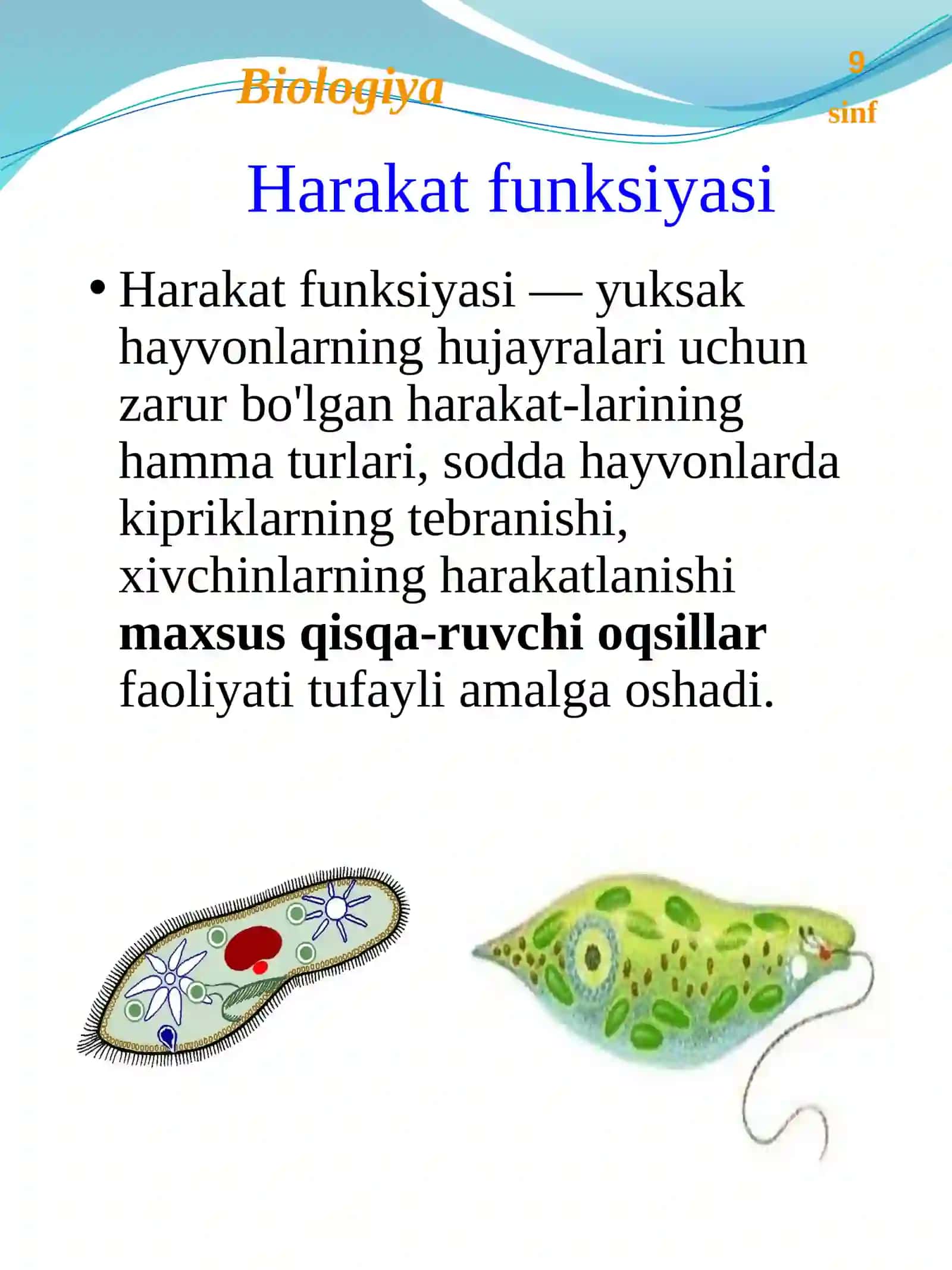 Qurilish funksiyasi 4