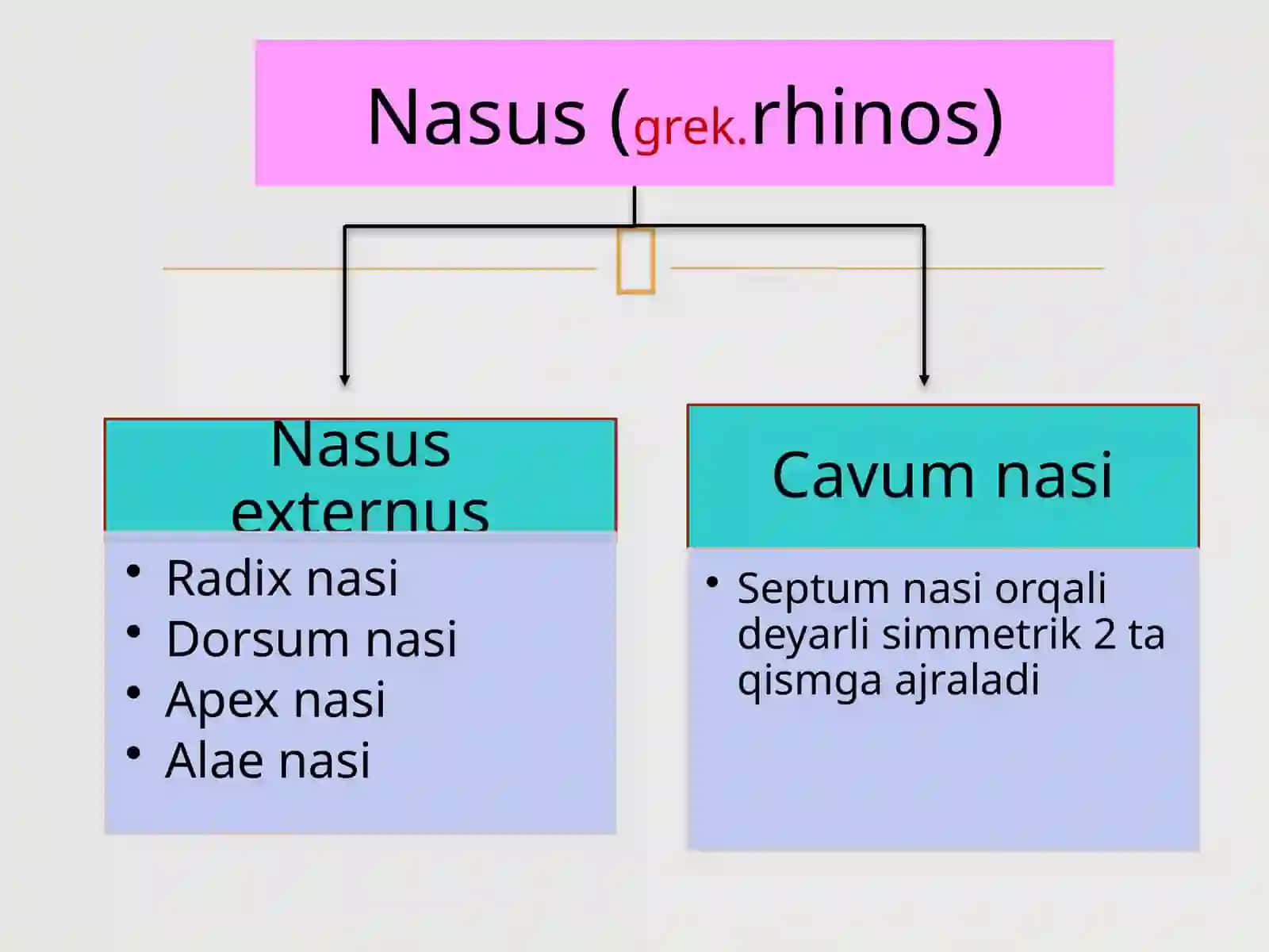 Burunbo`shlig`i,hiqildoq,paranazalbo`shliqlar 4