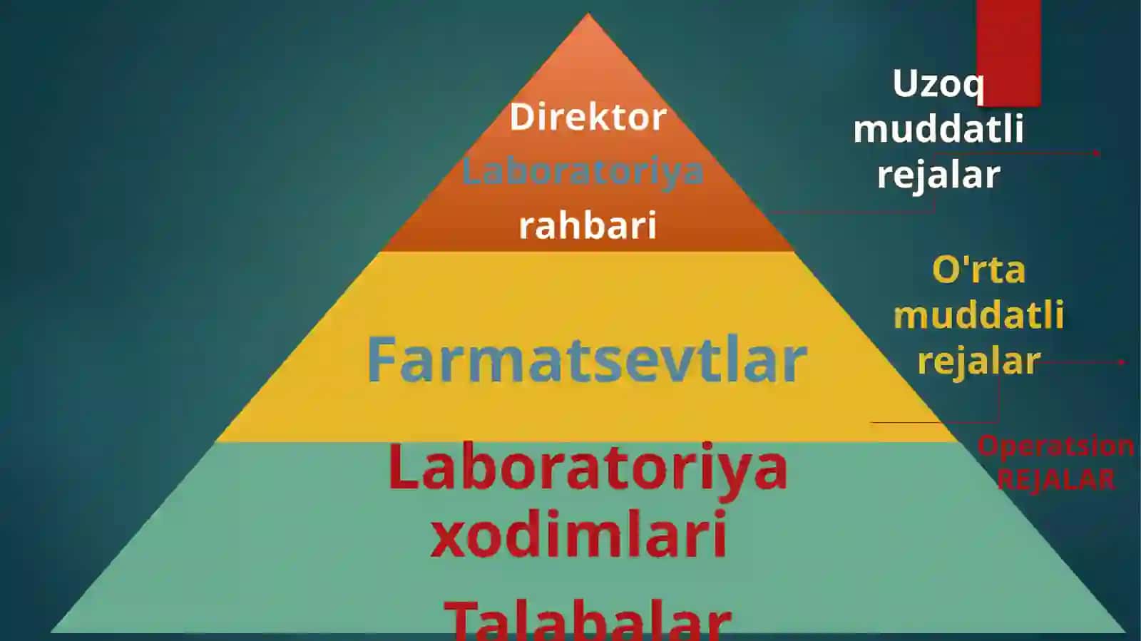 Farmatsevtika 4