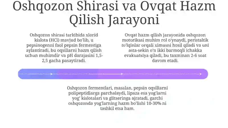 Oshqozonda ovqat hazm bo'lishi 4
