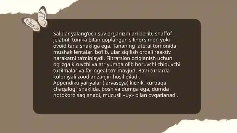 Salplar va appendikulyariyalar sinfi 4