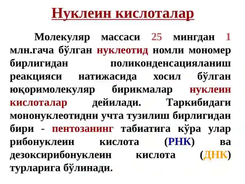 Нуклеозидлар ва нуклеотидлар 4