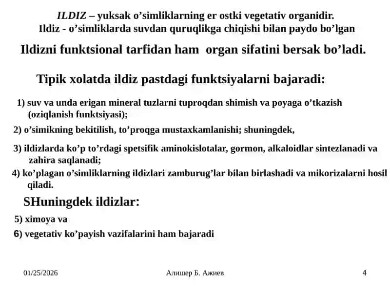 ILDIZ VA ILDIZ SISTEMASI 4