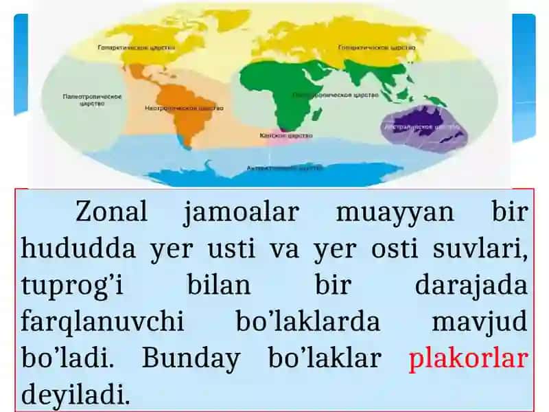 QURUQLIK ASOSIY BIOMLARINING ZONAL TARQALISHI VA BALANDLIK MINTAQALARI 4
