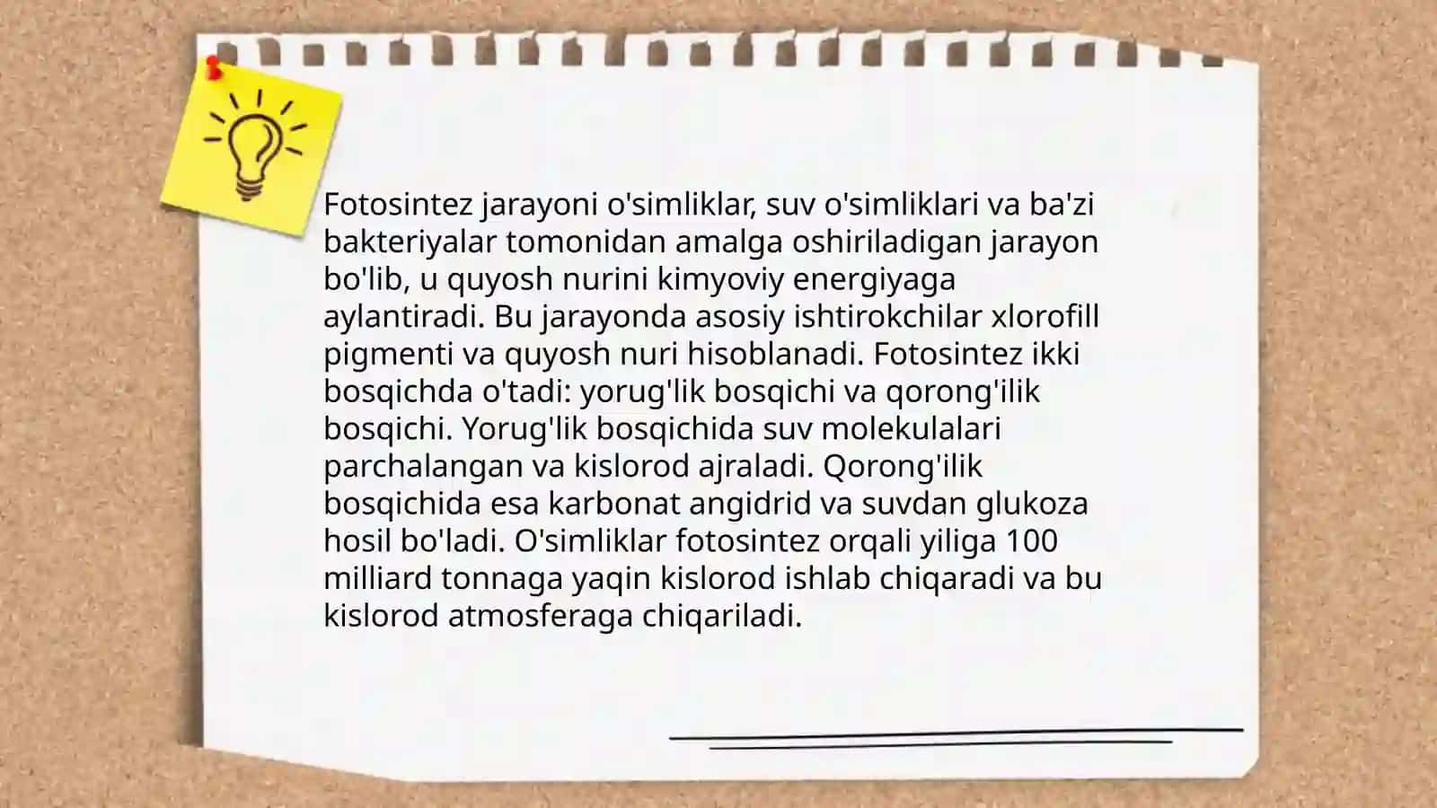 O’simliklar dunyosi va ularni yashash tarzi 4