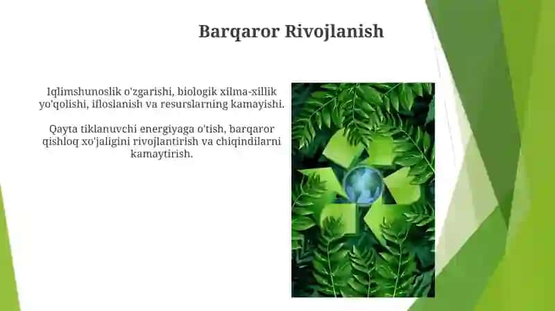 Zamonaviy ekologik muamolar 4