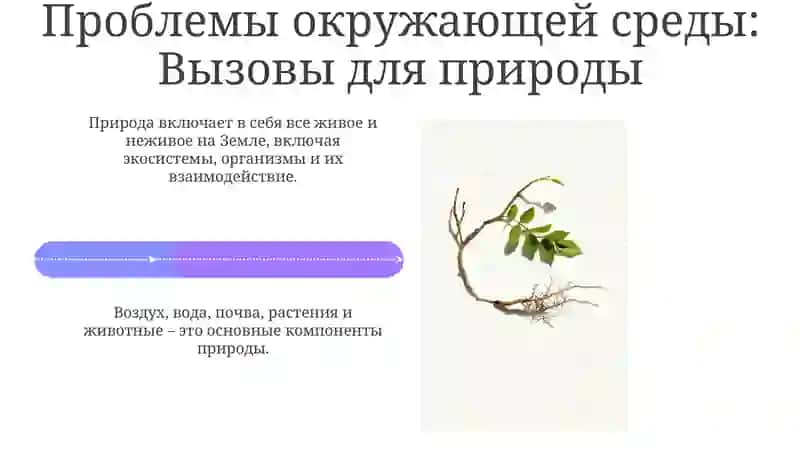Биосфера и ее компоненты 4