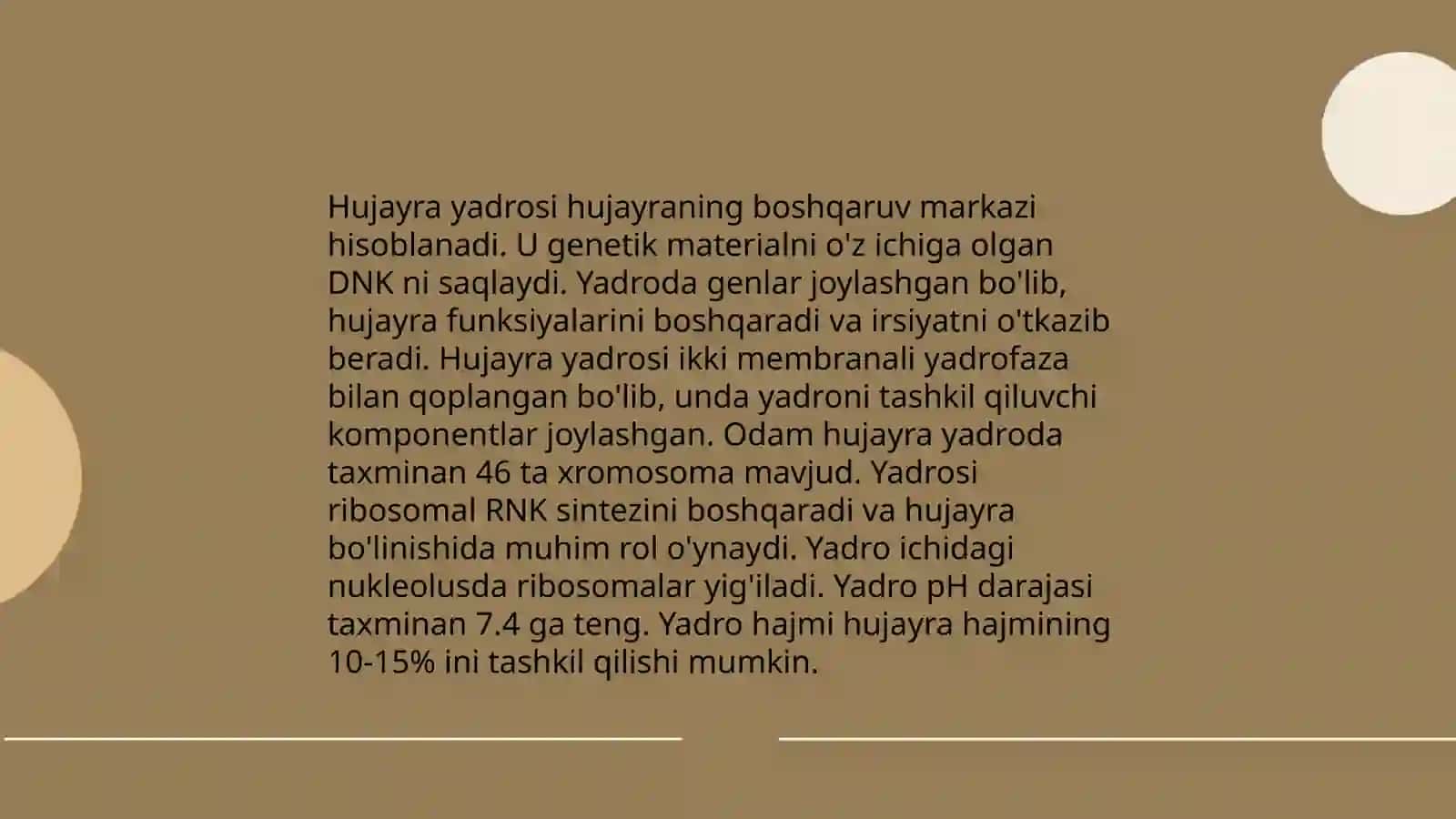 Hujayra yadrosi 4