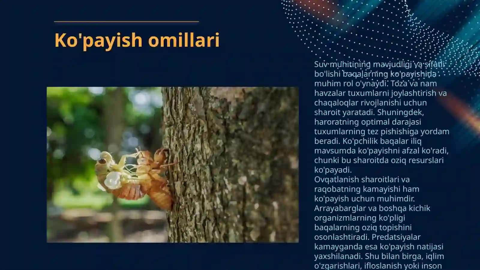 ZAXARLI BAQALARNING KÕPAYISHI 4