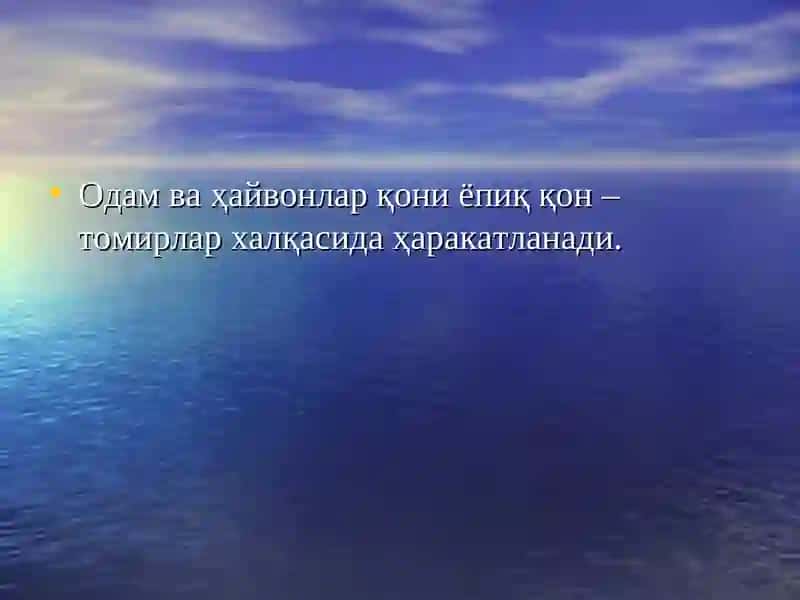 Қon sistemasi 4