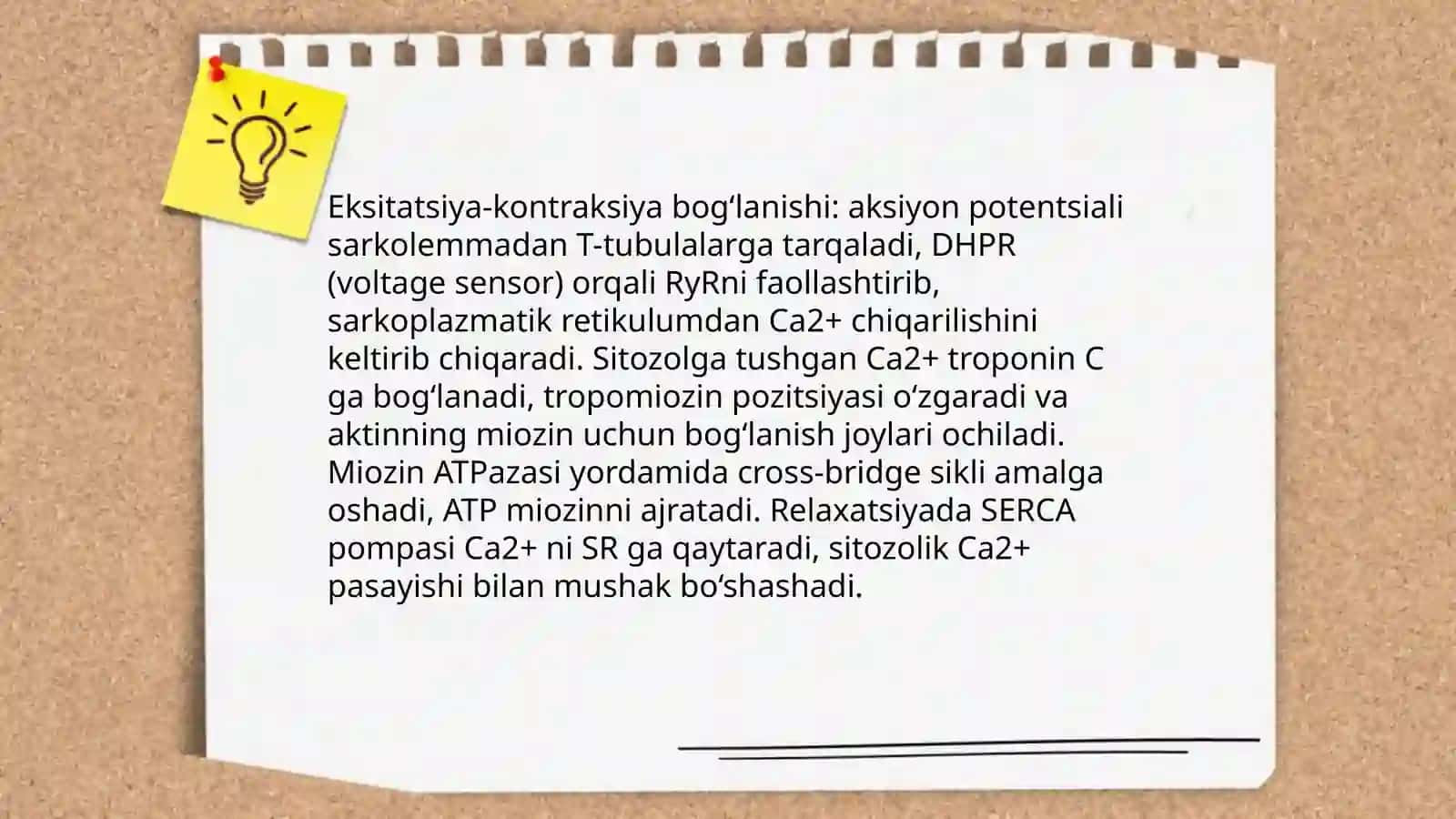 Muskullar ishi va biomexanikasi 4