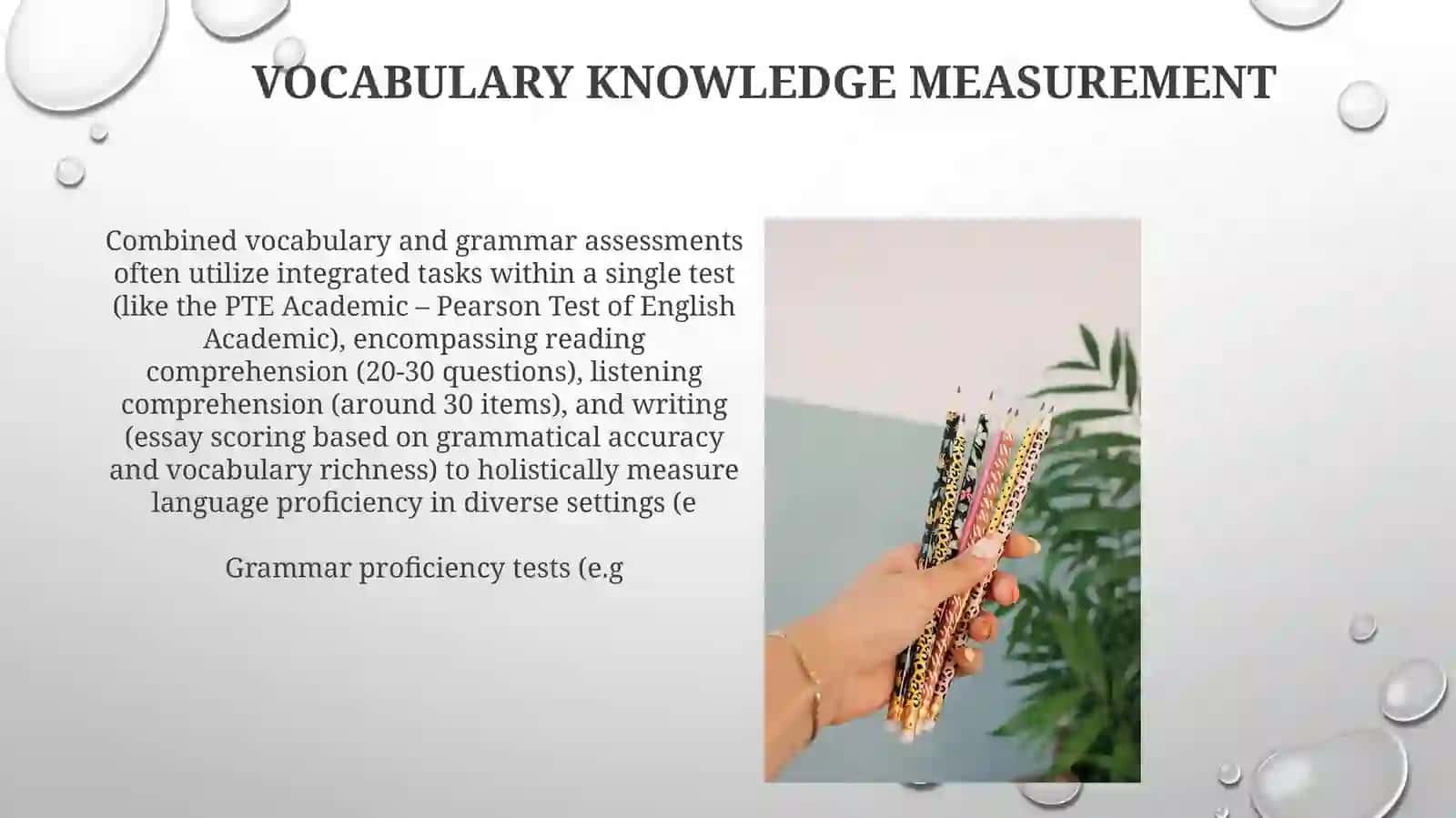 Test method for grammar and vocabulary 4