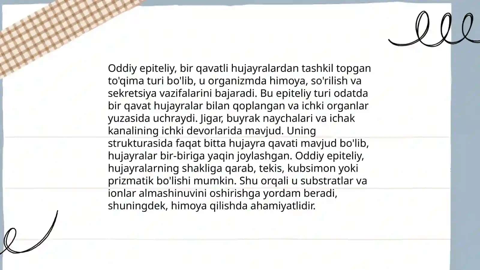 Epiteliy to'qimalar 4