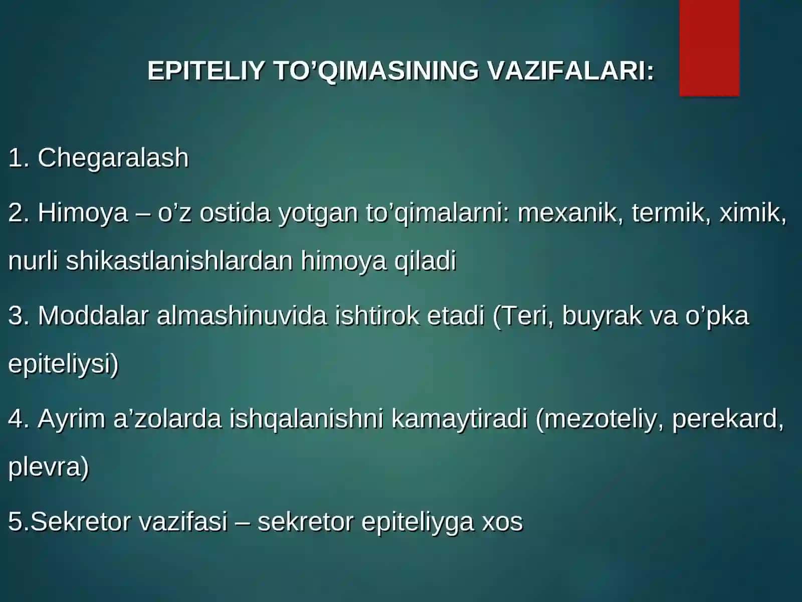 EPITELIY TO’QIMASI 4