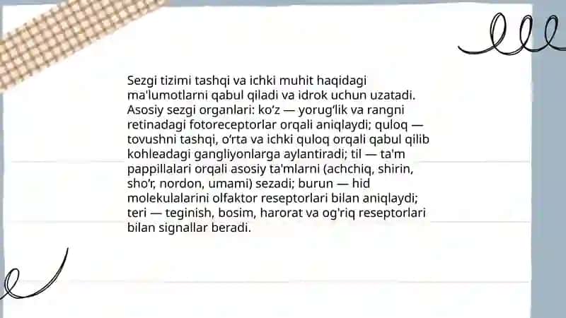Diqqat sezgi idrok 4
