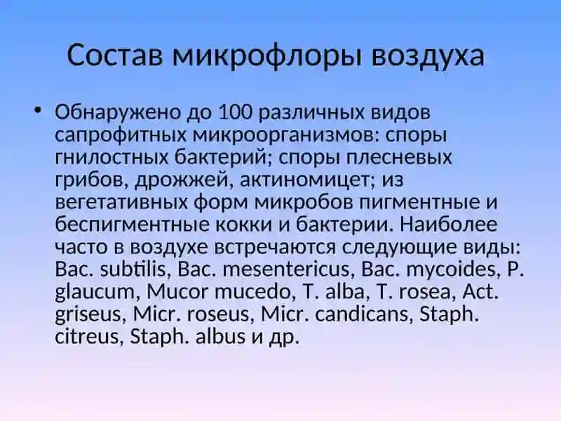 Микрофлора воздуха 4