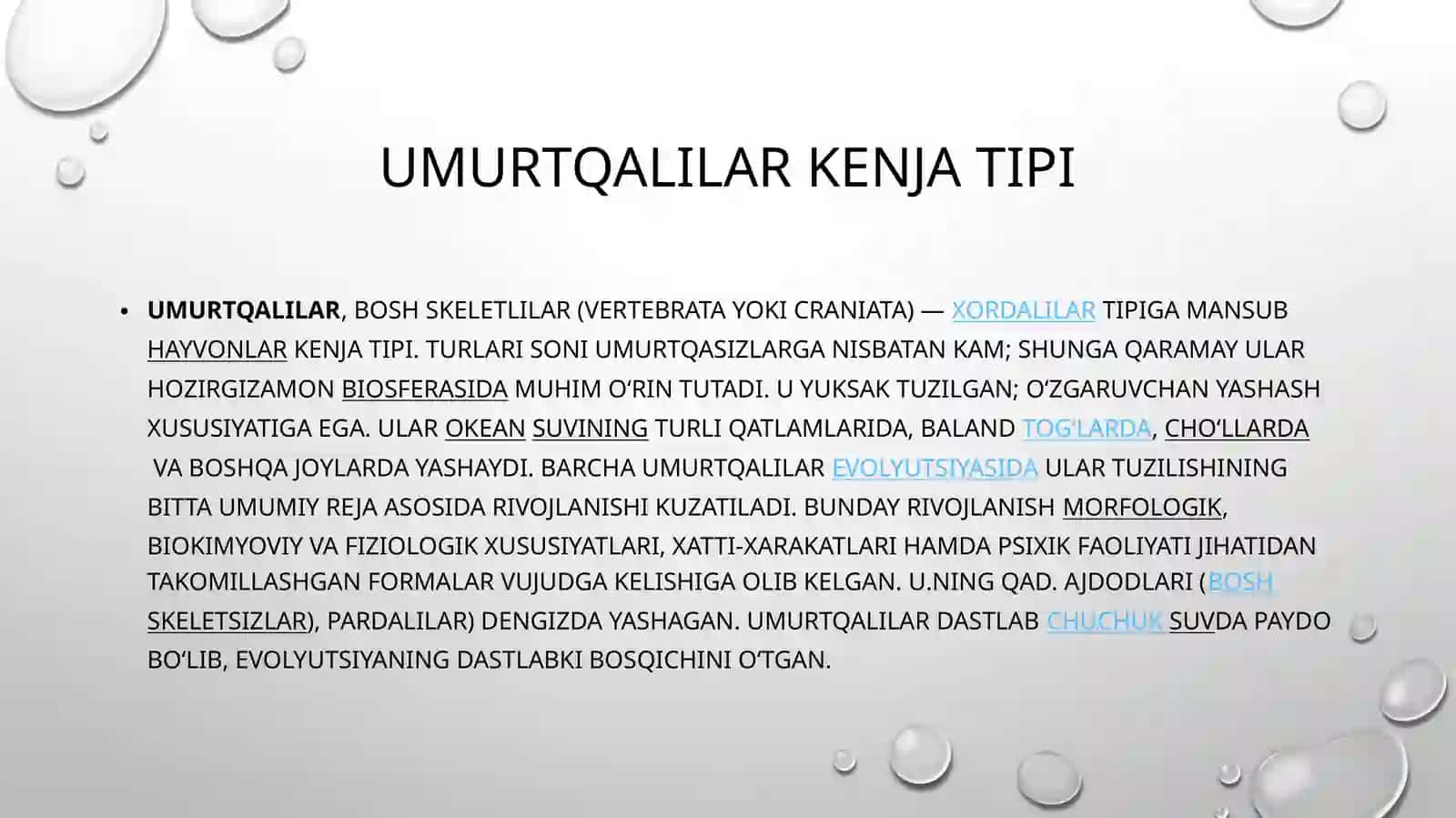 Umurtqalilarkenjatipi (Vertebrata) 4