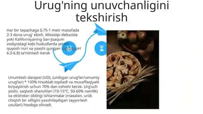 Oddiy igir oʻsimligini urugʻchiligi 4