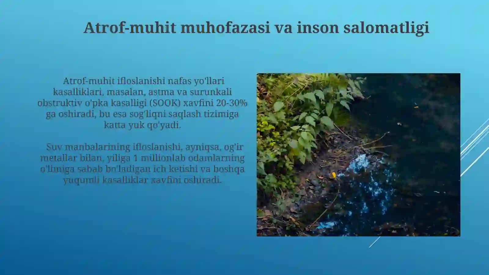 Atrofmuhitvaodamorganizminingbogʻliqligi 4