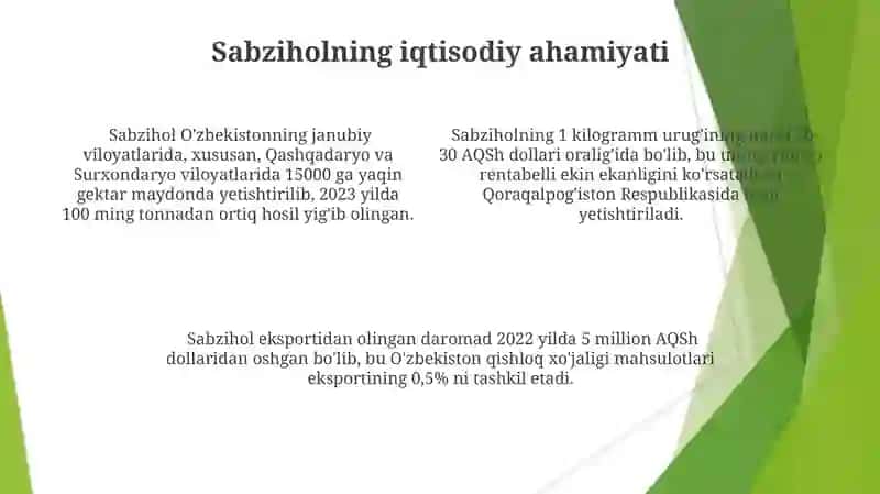 Okra yetishtirish 4