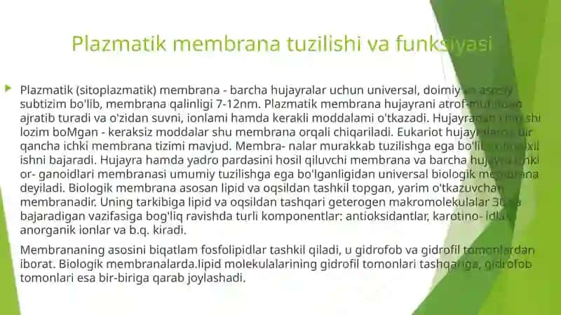 Eukariotlar-haqiqiyya d roga egabo’lgan hujayralar 4