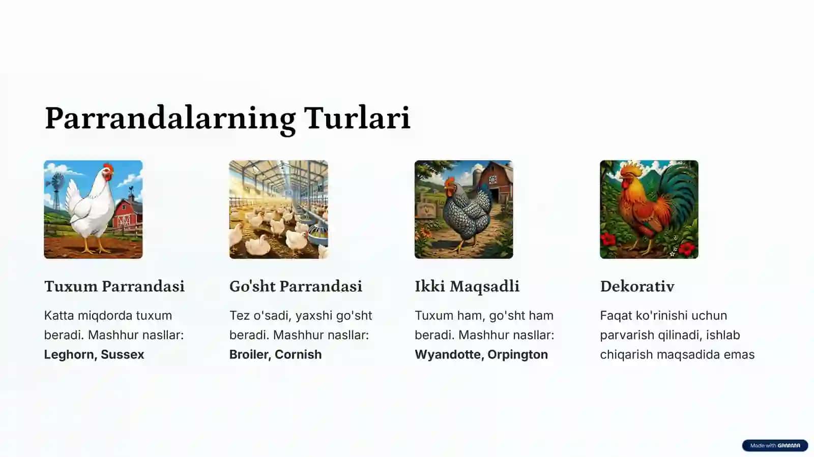 Parrandachilik: Tuxum va Goʻsht Ishlab Chiqarish 4