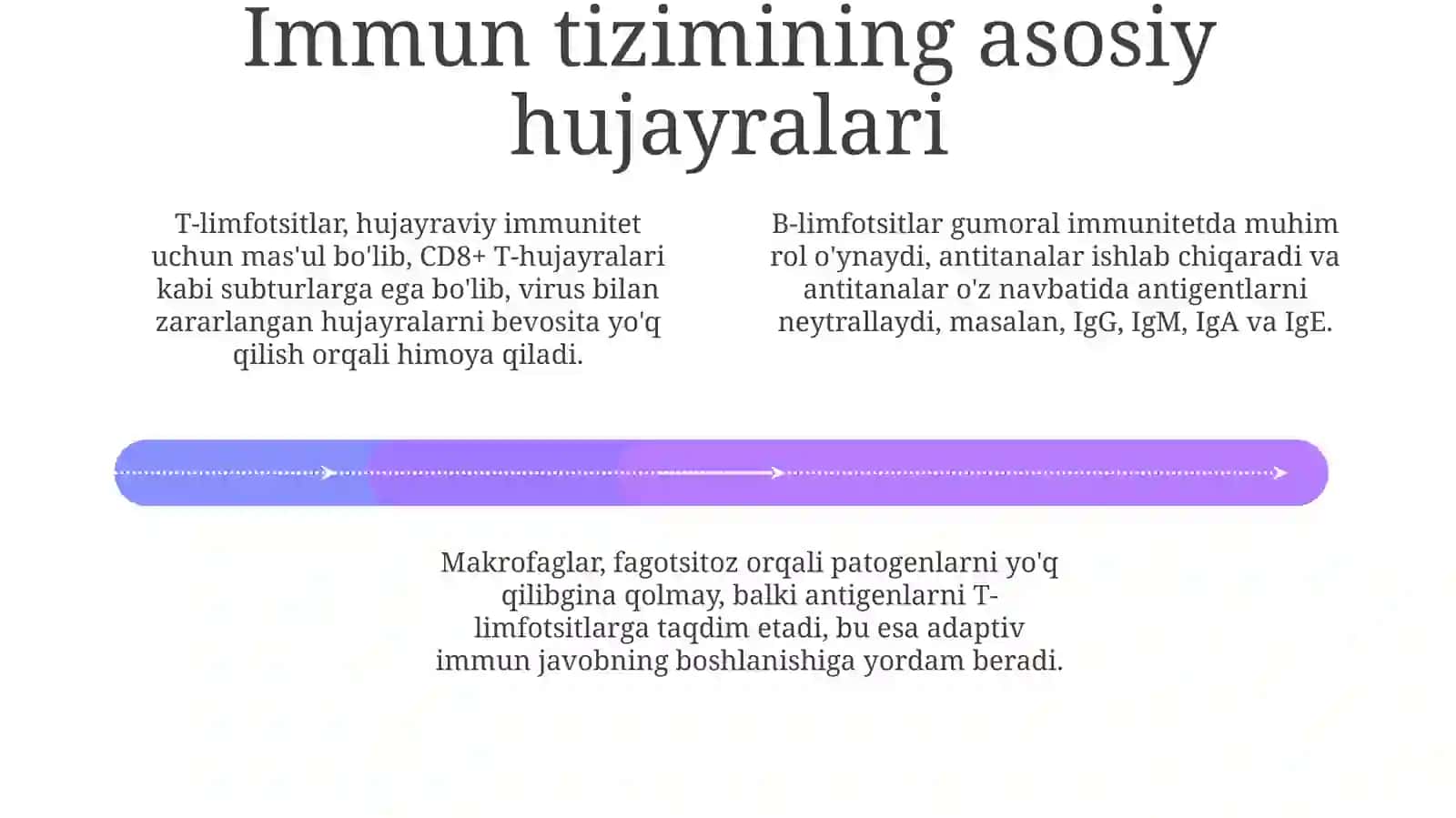 Immunizmning morfologik asoslari 4