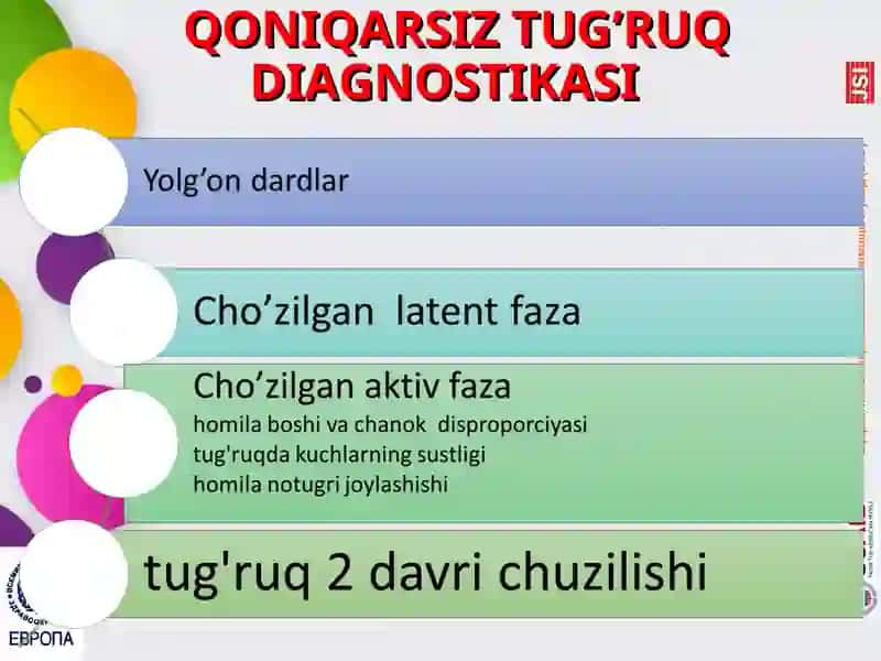 Tug’ruqni aktiv va passiv fazalari 4