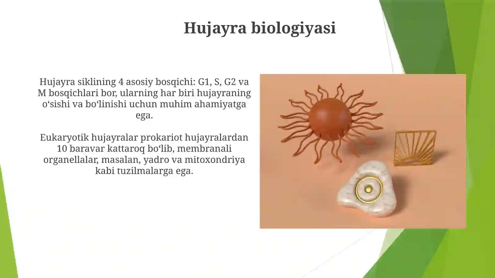 Biologik tushunchalarning xillari 4