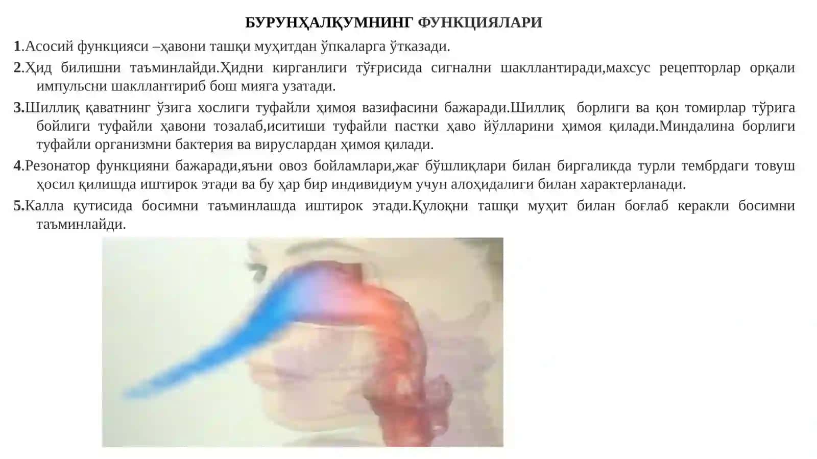 БУРУНҲАЛҚУМРАКИ 4