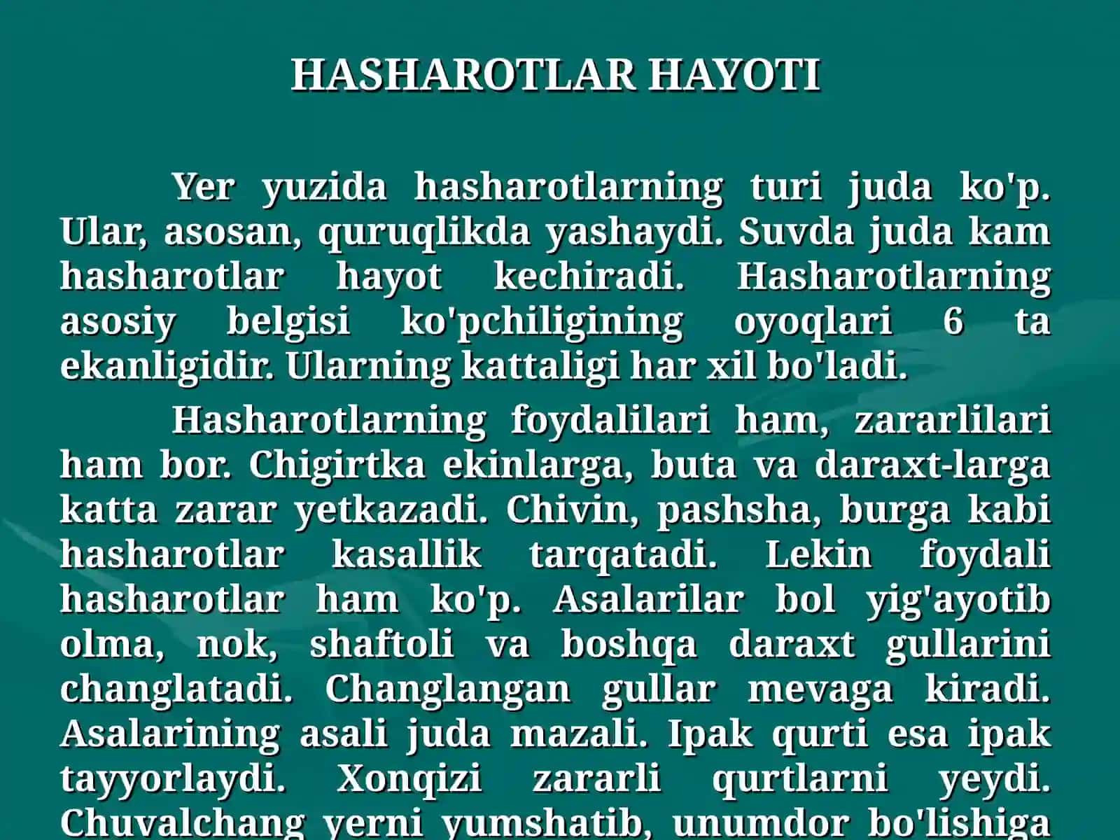 Hasharotlar Hayoti 4