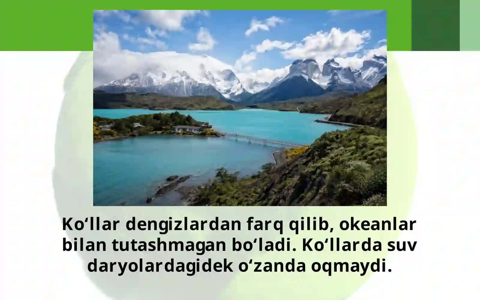 Ko’lvamuzliklar 4